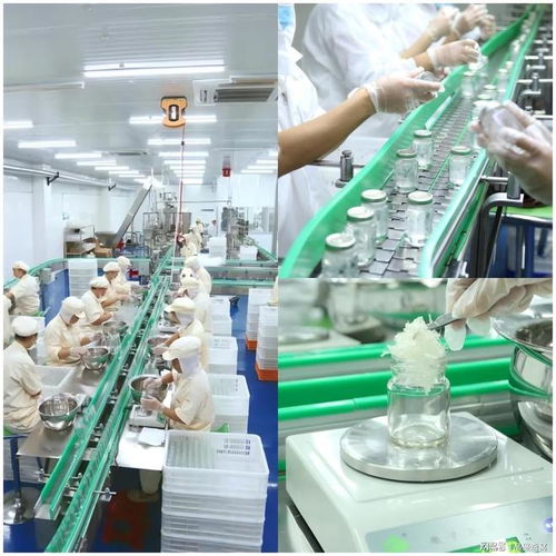 頂尖燕窩定制工廠的產品差異化之路 從配方到服務的全方位技術賦能